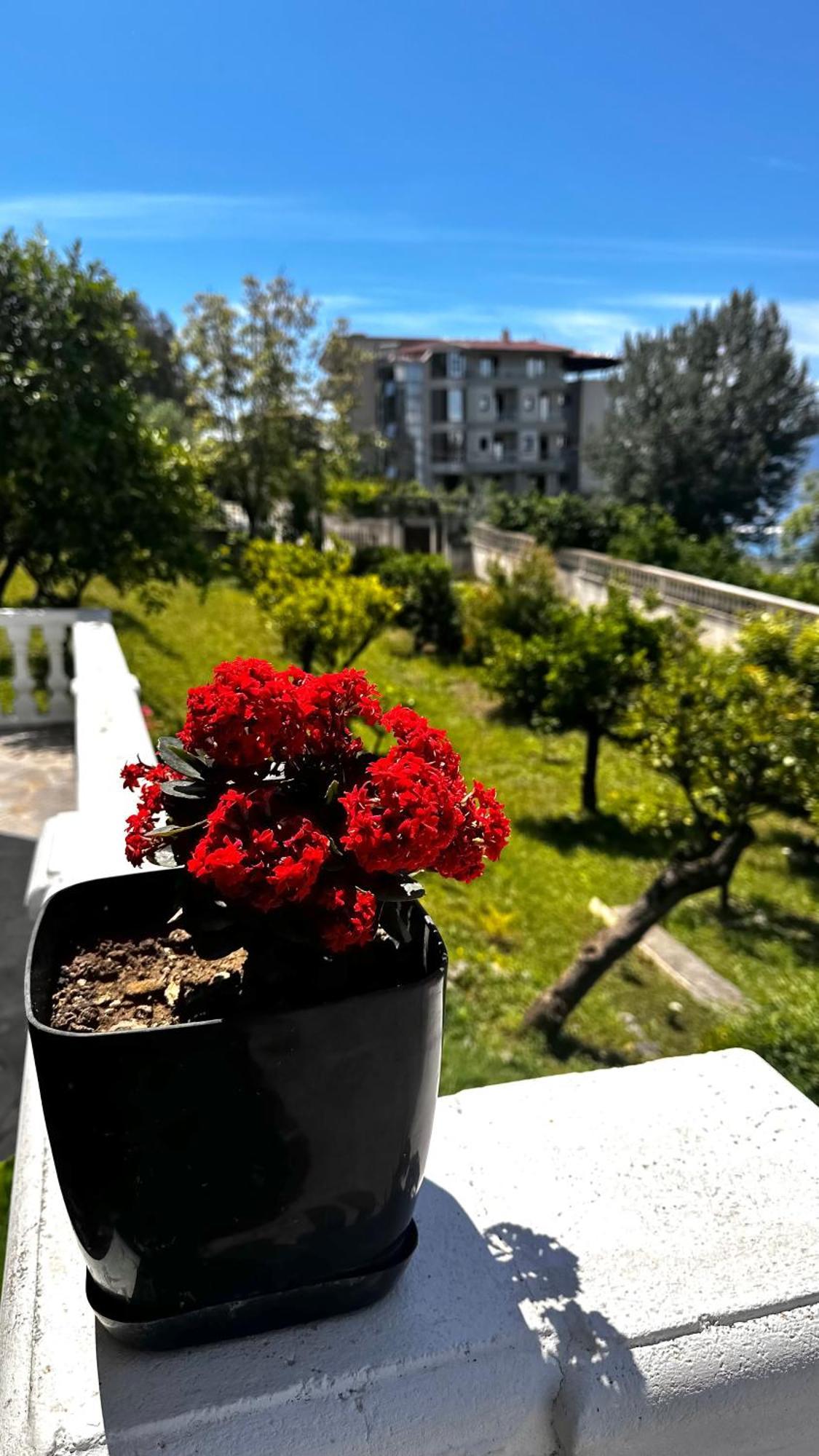 Villa Mare - For Families & Groups Vlorë Eksteriør bilde